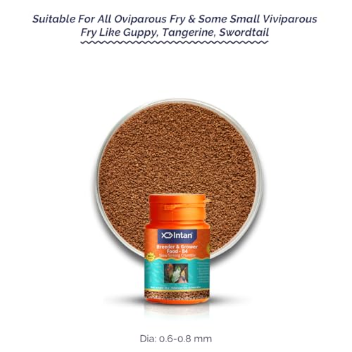 Image of Intan Breeder & Grower Food - B4 (0.6-0.8mm Slow Sinking Crumble) | 35gm - Highly Nutritious Ornamental Fish Food for A Range of Feed from Fry to Grow Out Stage for Viviparous & Oviparous Fish