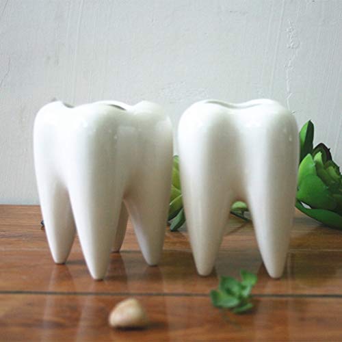 Yardwe – Vaso de cerâmica para decoração prática e exclusiva em forma de dente para decoração de cas