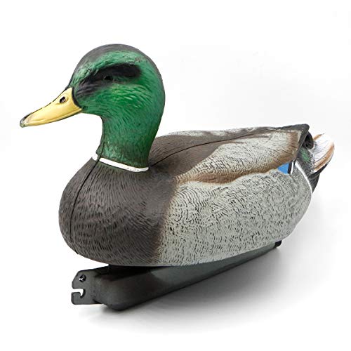 RioRand Highly Realistic Plastic Duck Decoys Hunting Decor Field Mallards Male(Big)