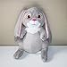 fangzhuo Peluche La Prima Sofia Principessa Bambole Giocattoli Sofia Clover Cartoon Giocattoli Rabbit Peluche 22cm per Collezione