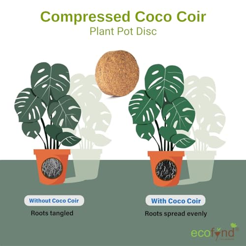Image of ecofynd Cocopeat Coin, Coir Disc for Potting Soil Mix, Seedling & Plant Starter (10MM, Pack of 10)