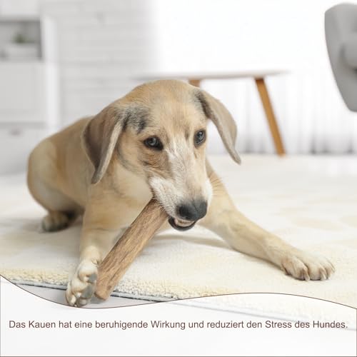 DAILY PET Kaffeeholz für Hunde - Robustes Kauholz für Welpen - Langlebige Kauwurzel für Hunde - Kaustange Natürliches Kauspielzeug - Welpenspielzeug - Größe: S