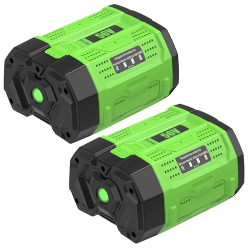 Enermall 2Pack 10.0Ah 56V Battery
