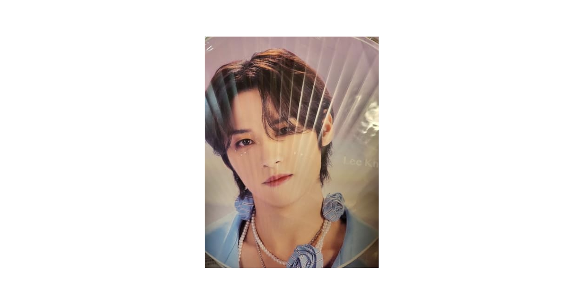 Amazon.co.jp: stray kids スキズ リノ うちわ B 公式 グッズ