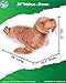 Real Planet Sea Life Plush - Realistic Stuffed Animal Gift for Kids All Ages, Marine Creature Walrus Plushie, Christmas Birthday Gifts (Brown Walrus, 31