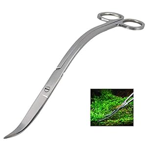 iwobi Forbici per Piante Acquario,Forbici per Acquario Lunghe in Acciaio Inossidabile per Piante Lama Curva,24 cm