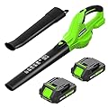SEYVUM Leaf Blower, 20V Cordless Blower with 2 x 2.0Ah Battery, Electric Leaf Blowers for Lawn Care, 320 CFM 150 MPH Battery Powered Leaf Blower, for Patio, Garden Cleaning, Fast Charger, Grass Green