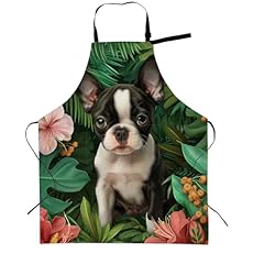 Boston Terrier 02