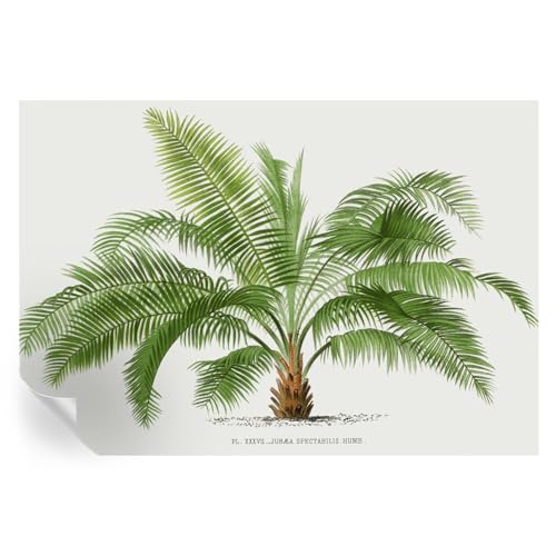Murales de palmera brillante 152x104 cm de diseño sofisticado 2