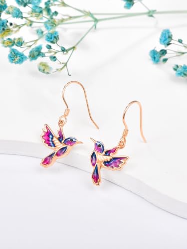 Dreamboat Hummingbird Bird Dangle Drop Earrings for Women 925 Sterling Silver Enamel Hook Jewelry Gifts for Hummingbirds Lovers2