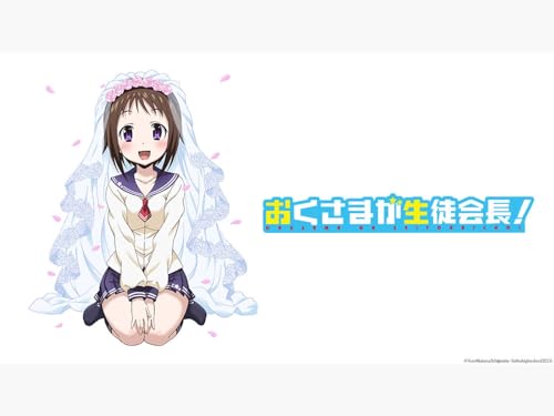 Okusama ga Seitokaichou!
