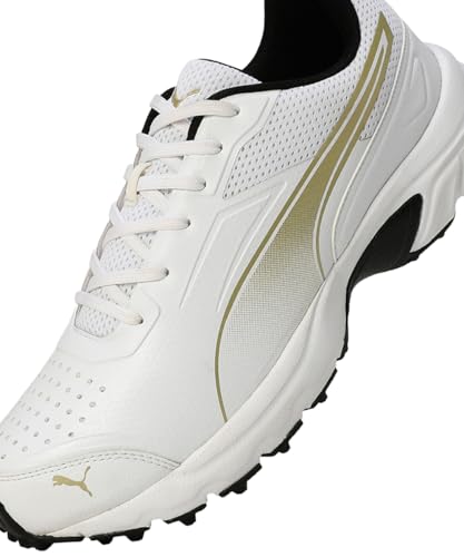 Image of Puma Mens Cricket Power 2.0 Cricket Shoe