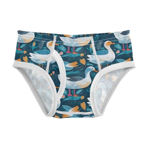 visesunny Boys Cotton Underwear Night Swan Lotus Printed Toddler Soft Training Briefs Size 2T-8Y for Kids