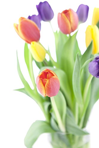 eflowerwholesale - 30 stem dare to impress fresh cut tulips