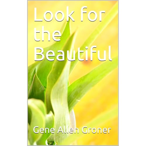 Look for the Beautiful Audiolibro Por Gene Allen Groner arte de portada
