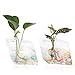 Kingbuy 4-Pack Diamond Glass Wall Planter for Plants - Propagation Station & Wall-Mounted Terrarium Vase for Succulents, Air Plants Creative Indoor Hydroponic Wall Decor