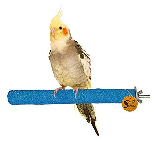 Sage Square Set of 2 Natural Habitat Wooden Sand Perch/Stand/Toy for Birds (Light Weight) (Size - 8") (B0875RHGQD) Amazon Price History, Amazon Price Tracker