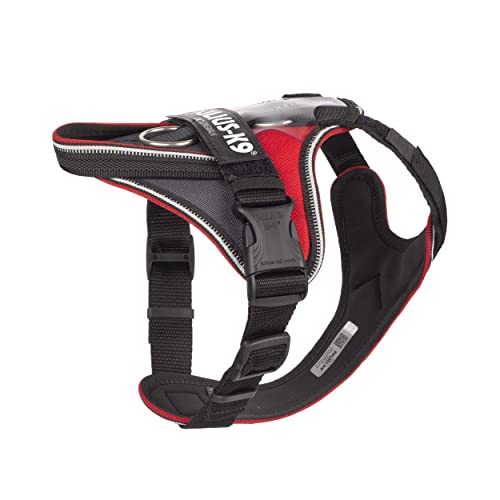 JULIUS-K9 IDC Longwalk Y-Harness, Red-Gray, Size: XS - Image 2