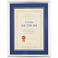 いしゆう Amazon.com - Banjo VANJOH 106639 EX Colored Paper Frame