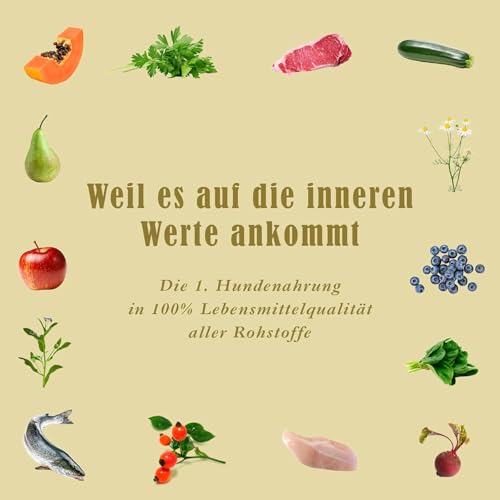 Terra Canis Wild, Gurke & Pfirsich - Light Nassfutter, 12x400g I Premium Hundefutter in 100% Lebensmittelqualität Aller Rohstoffe I Kalorien- & fettreduziert, Getreide- & glutenfrei