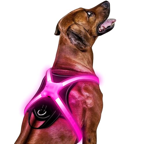 Light Up Dog Harness–Multicolor LED Dog Harness with 7 Lighting Modes | No Pull USB Rechargeable Safety Vest with Handle for Medium Large Dogs | Waterproof & Adjustable Glow-in-The-Dark Illuminated(L)