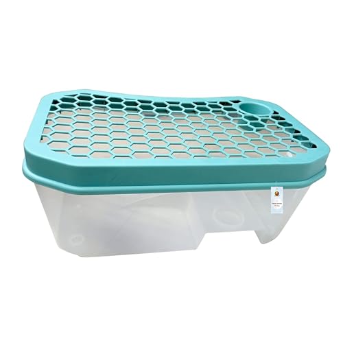 Image of Foodie Puppies Turtle Tank Aquarium - (Large, Honeycomb Tank) (59x36x24cm) with Lid and Ramp | Basking Platform, Swimming Area, breeding, Hibernation Area for Turtle (Color May Vary) (No Accessories)