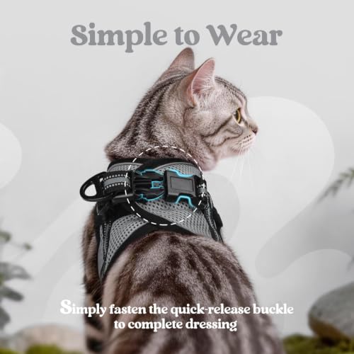 Image of rabbitgoo Cat Harness and Leash Set, Step-in Soft Vest, Grey | Escape Proof, Lightweight, Easy-on & Adjustable, Hook & Loop with Buckle, Reflective, for Small Cats Walks, L