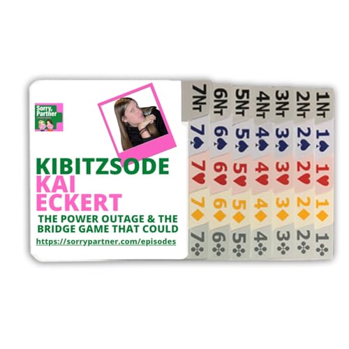 『Kibitzsode: The Power Outage and the Bridge Game That Could』のカバーアート