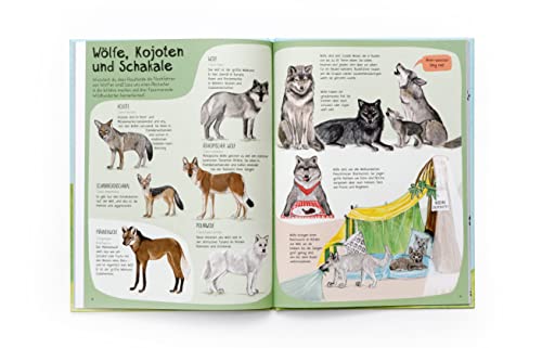 Das Hunde-Buch: Zu Besuch bei Hunden aus aller Welt