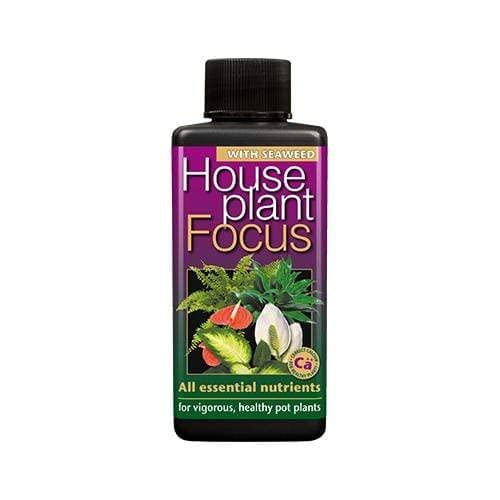 GT - Focus Range - House Plant, Rose, Geranium, Camellia & African Violet (House Plant - 300ml) — image 1