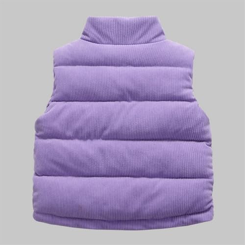 Girls and Toddlers' Lightweight Waterproof Packable Puffer Vest Stand Collar Thick Warm Coat Sleeveless Waistcoat2