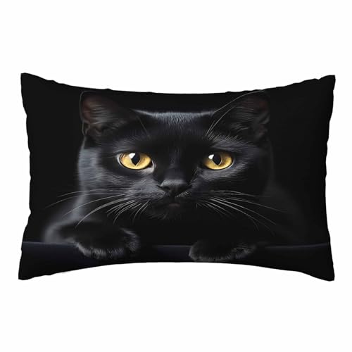 Nicokee NbVJo[ 킢 L qL Jo[ |GXe NbVJo[ JE` \t@ xbh[ rO[ NC[TCY 20x30C`