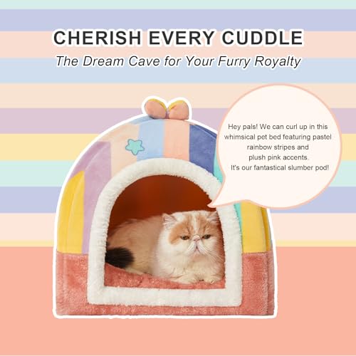 Jiupety Camas para gatos internos, linda casa de gato para gatos e filhotes, cama caverna para gatos