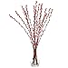 Lanmik 40 Stems 100% Real Plant 21 Inches Long Red Pussy Willow Flowers Pussy Willow Branches New Year's Eve Flowers Red Pussywillows for China Spring Festival New Year's Greetings Home Decor NO VASE
