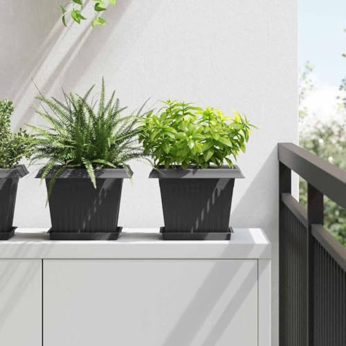 Pots de fleurs avec trous de drainage pour éviter l'excès d'eau des plantes