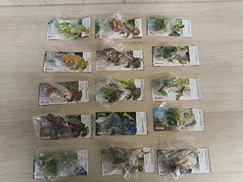 Amazon | ユージン 原色両生類カエル図鑑 新改訂版 全15種セット