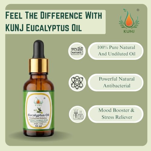 Image of KUNJ Eucalyptus Essential Oil 10ml - 100% Pure & Natural Steam Distilled Nilgiri Oil for Aromatherapy, Diffuser, Hair Care, Scalp Care, Spa, Home Fragrance & DIY Blends
