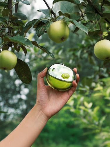 Image of DKNY Be Delicious Eau de Parfum 100ml for Women | Luxury Long Lasting | Fresh Fruity Floral Perfume | Apple Grapefruit Floral Spray with Magnolia, Rose, Sandalwood & Musk