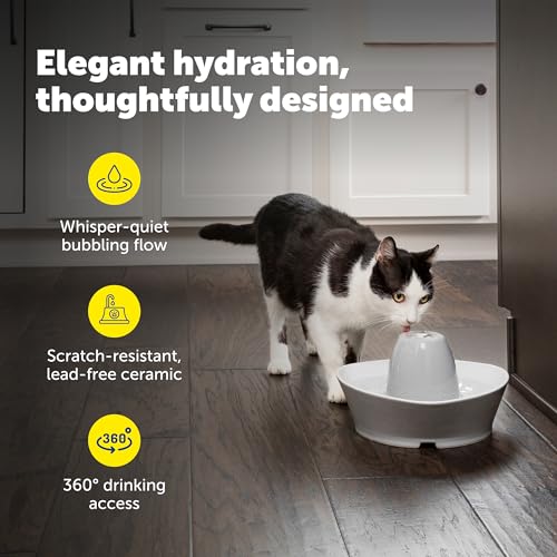 Image of PetSafe Ceramic Pet Fountain with 4-Pack of Carbon Filters for Cats and Small Dogs 60 Oz Water Capacity Whisper-Quiet Water Flow Great for Shy or Timid Pets Fresh, Filtered Water