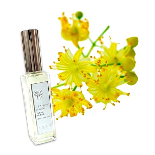 {̉Ԃ̍y f z< t[ \bg > A} Xv[ 20ml m  Au\[g AEAJ es[ t[ tOX   В  Jo[ Y L  Q  xbh  ₷ [ 