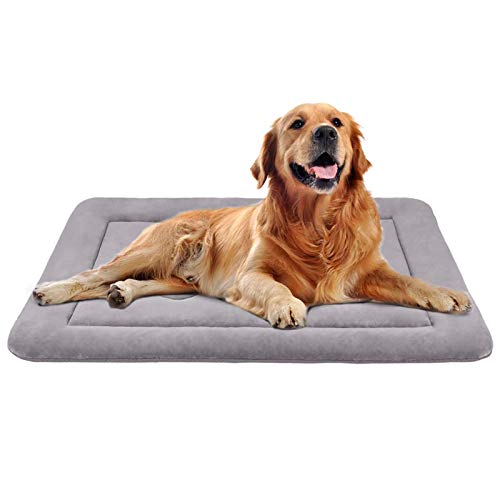dog bed for kennel