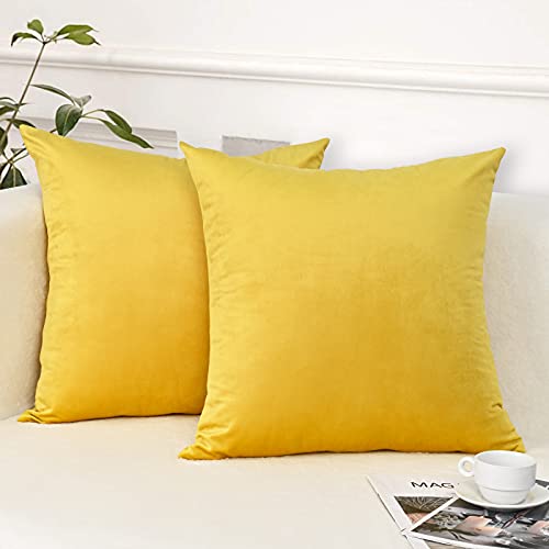 Yastouay 2 Pack Throw Pillow Covers, Yellow Decorative Pillow Covers, Solid Sofa Pillows, Soft Velvet Pillow Case, Square Accent Cushion Covers For Sofa Couch Bed Chair, 22 X 22 Inches #TOP1