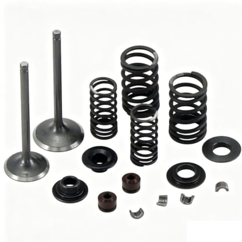 Válvulas de escape de entrada CF250 soluciona pérdida compresión en scooter ATV 250-5027