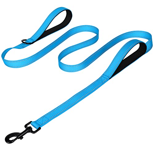 Joytale Dog Leash Heavy Duty for Large Dogs that Pull, Double Handle for Traffic Control, Double-Sided Reflective Leashes for Large Medium Dogs Night Safety, 6FT, Aqua Blue