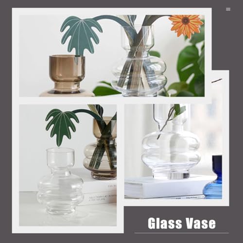 Bouteille Hydroponique en Verre Transparent DOITOOL Vase à Bourgeons