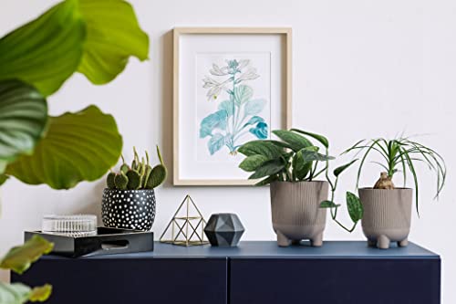 Lamela ARIA ECO WOOD JUMPER Flowerpot Herb Plant New Season 2022 Balcony Garden Container Bucket Unique Surface Design Origina Kids Room impress? (diameter 14 cm - Image 4