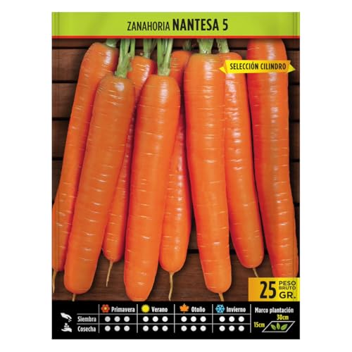 Semillas Horticolas - Zanahoria nantesa 5 - Semillas listas para plantar.