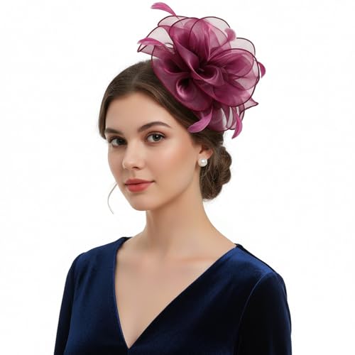 Image of DRESHOW Fascinators Hat Tea Party Headwear Ribbons Feathers on a Headband and a Clip for Women