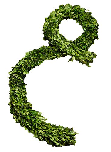 Serene Spaces Living Preserved Boxwood Garland...