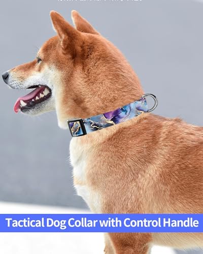 Collar para Perro Ajustable Talla M en Poliéster miniatura 3